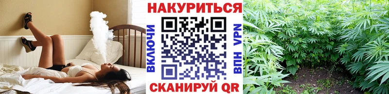 Где купить наркотики Гатчина АМФЕТАМИН  Меф  Alpha PVP 