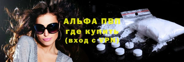 сатива Арсеньев
