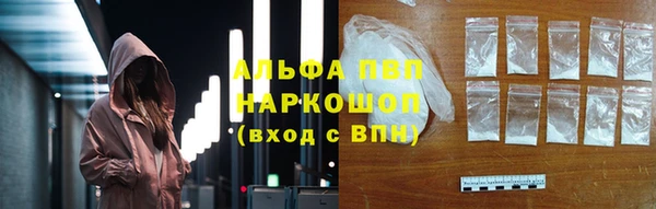 сатива Арсеньев