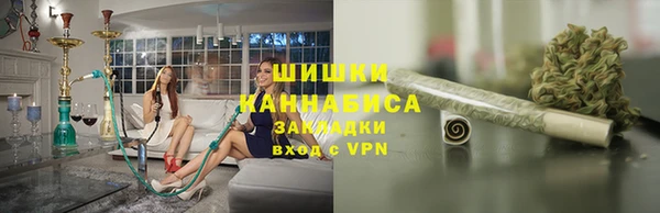 сатива Арсеньев
