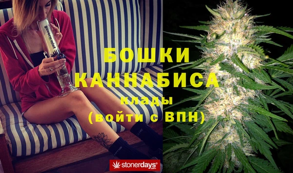 сатива Арсеньев