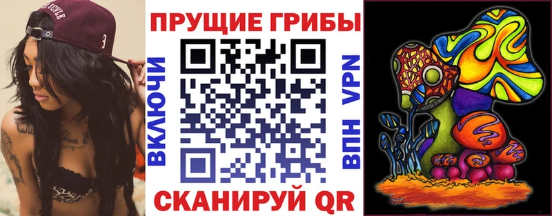 Галлюциногенные грибы Magic Shrooms  закладки  Гатчина 