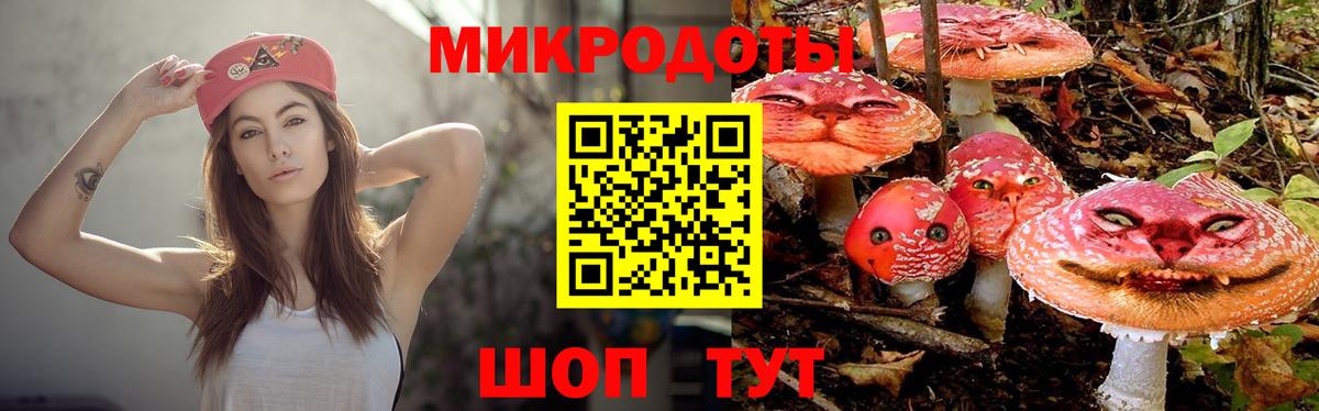 Гатчина  Галлюциногенные грибы мухоморы  Псилоцибиновые грибы Cubensis  Вход с VPN 