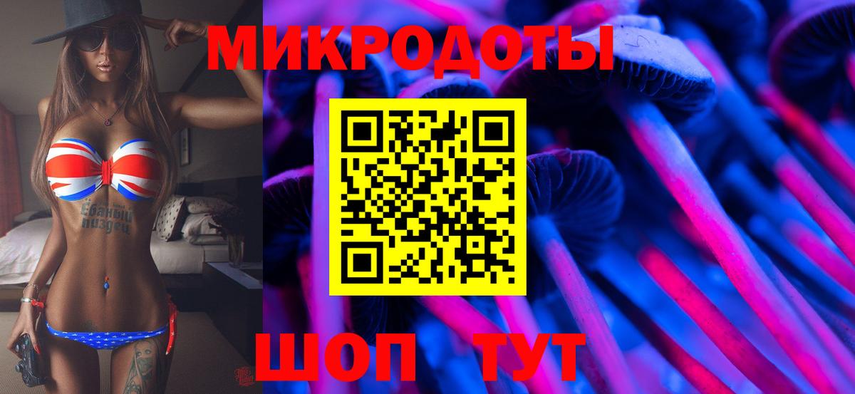 Псилоцибиновые грибы Cubensis Гатчина